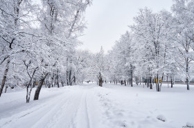 Thumbnail for «Каширское шоссе в снежной сказке»