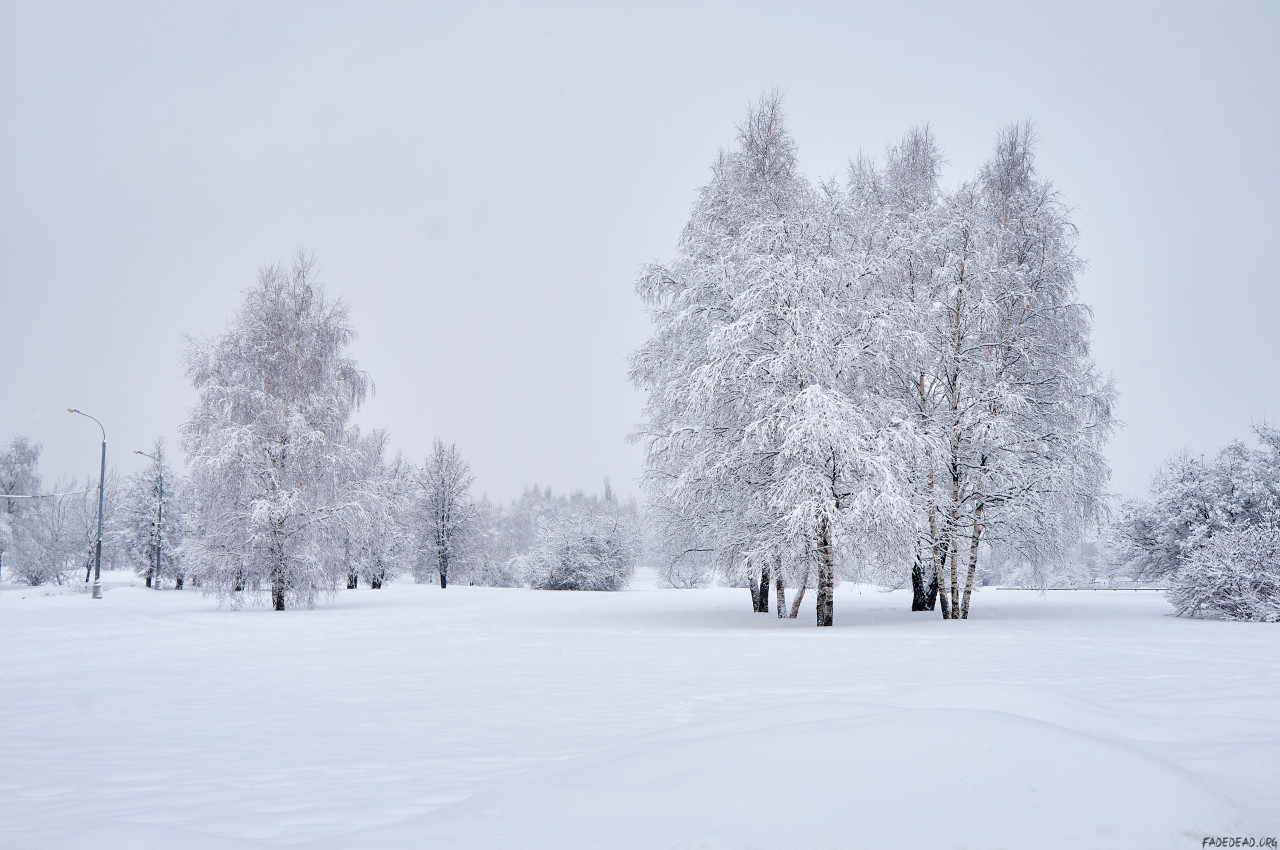 Thumbnail for «Парк «Коломенское» под снежным покровом»