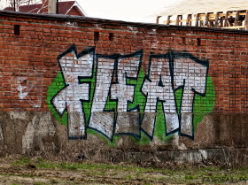 Thumbnail for «Граффити FLEAT возле о.п. «Плехановская»»
